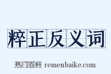 粹正反义词是什么意思的图片